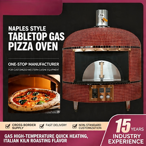 Horno de Pizza Eléctrico y a Gas Siciliano Lianfu YS-750E para Restaurante y Panadería, 6000W de Alta Potencia, con Botón de 1 Año de Garantía - Product Image 2