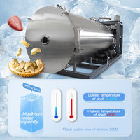 Commerciële Dehydrator Fruit-En Groentedroger Industriële Vriesdroogmachine