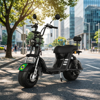 Nouvelle trottinette électrique Citycoco à gros pneus 60V 1000W 1200W, scooter cruiser à grandes roues, cyclomoteur chopper, vélo électrique pour adultes