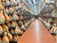 Ligne de production de jambon fermenté automatique clé en main, conception italienne, contrôle de la température PID, haute efficacité, prosciutto, salami, speck PANFENG