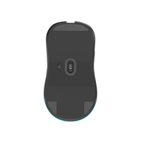 Gaming Mouse 2.4G Wireless Wired 6 Button RGB Rechargeable 300mAh Battery OEM Wholesale