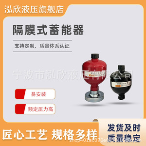 Accumulateur à diaphragme Hongxin, cylindre soudé en acier pour excavatrice HX002 - Product Image 5