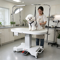 Table de toilettage électrique professionnelle pour animaux de compagnie avec lumière LED, plateau ovale et commande par pédale pour salon de toilettage canin et félin