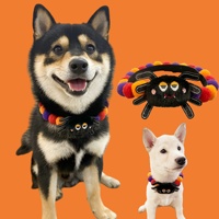 Ensemble collier et chapeau pompon pour animaux de compagnie Halloween – Décoration citrouille et fantôme pour chats et chiens – Accessoires de costume de fête