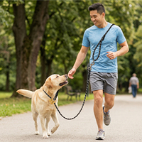 HIPHOPPET Laisse pour chien réglable réfléchissante à poignée rembourrée en caoutchouc souple, corde en nylon, laisse pour animaux de compagnie en nylon pour la promenade en extérieur – Meilleure vente