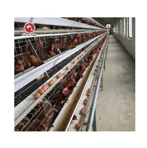 En çok satan tavuk yumurta ekipmanları pil kafesleri döşeme tavuklar