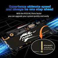 PUSKILL M.2 NVMe PCIe 3.0 SSD Solid State Drive Penyimpanan Internal untuk PC Desktop Gaming 250GB-2TB Kecepatan Tinggi 3D NAND