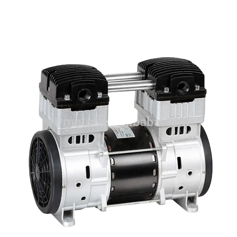 Compressore d'aria della pompa a pistone ad alta pressione AC 220V/110V pompa senza olio pompa elettrica a compressione d'aria
