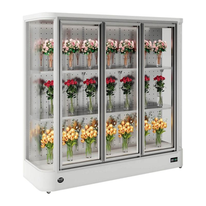 Réfrigérateur commercial refroidi par air à porte en verre avec affichage floral et congélateur à dégivrage <span class=keywords><strong>automatique</strong></span> - Product Image 3