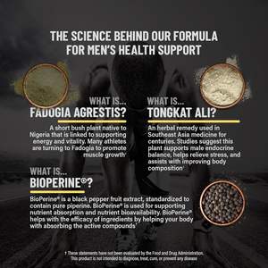 Capsules d'extrait de Tongkat Ali en marque blanche OEM/ODM pour la gestion de l'énergie des adultes - Product Image 4