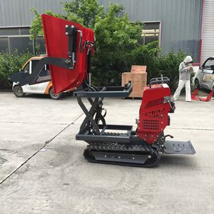 Camión Volquete de 1000 L, Apto para Obras de Construcción, Huertos y Jardinería Municipal - Product Image 1