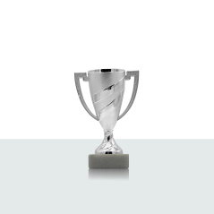 Coppa Individuale Arizona 14 cm argento - Product Image 1
