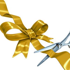 เครื่องพิมพ์ริบบิ้นซาติน N-Mark สีเดียว สำหรับทำโบว์ ของขวัญ ตกแต่งต้นไม้ ร้านดอกไม้ เค้ก งานศพ ช่องต่อ USB รับประกัน 1 ปี มีสินค้าในสต็อก - Product Image 5