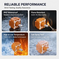 Premium 1500V ABS/Nylon IP67 Wasserdichter Männlicher/Weiblicher Flammhemmender Stromkabeladapter für Automobil-/Solarenergiesysteme