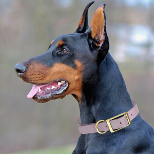 Collar Táctico para Perros Grandes, Resistente, con Hebilla de Aleación de Zinc, Desmontable, Simple, Fuerte, de Alta Resistencia a la Tracción, para Entrenamiento Suave - Product Image 3