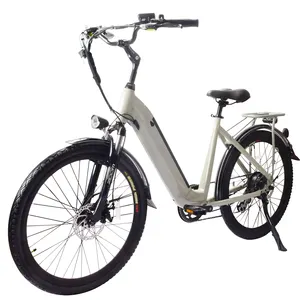 Bafang Hidden Battery Hub Motor 36V 250W E Bike Electric City Ebike scatola di cartone elettronica personalizzata nuova per donna arrivo 26 pollici