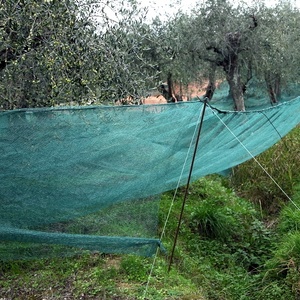 Màu xanh đậm trái cây chọn ô liu thu hoạch lưới Catcher <span class=keywords><strong>Olive</strong></span> Tree <span class=keywords><strong>Net</strong></span> - Product Image 1