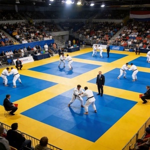 เสื่อบูโดแบบกำหนดเองสำหรับ MMA มวย ยิวยิตสู ความหนา 2-7 ซม. จากผู้ผลิตโดยตรง - Product Image 5