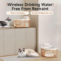 Fontaine à eau pour animaux de compagnie Vansity Cat, distributeur d'eau en acier inoxydable, rechargeable, logo personnalisé, capteur sans fil