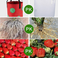 Sacs de culture de fraises personnalisés avec logo, en feutre non tissé, jardinière suspendue, jardin vertical, pépinière de légumes, extérieur, maison