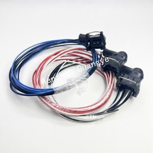 定制2针母头保险丝插头PBT塑料插头DJ7021-3.5-21 220V 120mm线束线缆家用电器 - Product Image 2