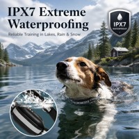 Traceur GPS et Beidou étanche en plastique pour dressage canin anti-dérangements avec 1 an d'autonomie de la batterie