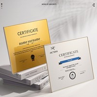 Medalla de Metal Acrílica Creativa Personalizada, Carta de Autorización Comercial para Agencias de Franquicias, Placas de Premio Honoríficas Personalizadas con Impresión UV