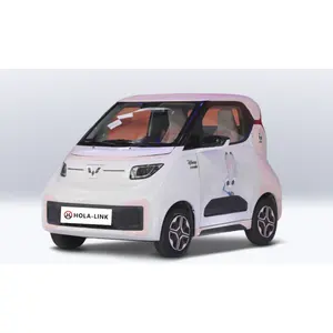新しい電気小型車中国の人気ブランドWULING Nano EV2022大人用2人乗り車用の純粋な電気自動車