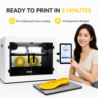 Imprimante 3D FDM à double station et double buse WGF300-2 haute vitesse pour semelles orthopédiques en TPU, TPE, PLA, ABS – Garantie 1 an