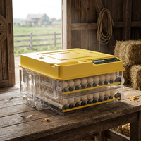 Nouvel incubateur WONEGG TW144 entièrement automatique et durable, contrôleur intelligent certifié CE, plateau d'éclosion avicole haute productivité