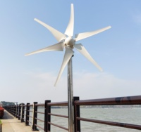 Générateur éolien horizontal à énergie libre 800W 12V / 24V pour la maison ou l'éclairage public