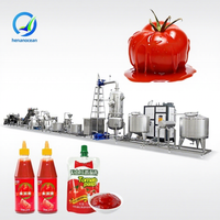 Oceaan Volautomatische Tomatenpuree Maken Machine Tin Tomatenpuree Fabricage Machine Ketchup Maker Procesfabriek
