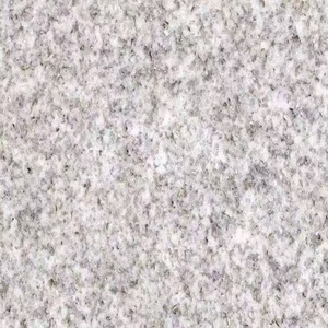 Granito Platino Americano - Losas y Azulejos Blancos Pulidos Naturales Modernos para Revestimiento de Paredes Exteriores y Pavimentación de Suelos, Garantía de 5 Años - Product Image 2
