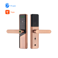 Poignée de porte intelligente biométrique, serrure numérique sans clé, application Wifi, serrure de porte intelligente sans Tuya Ttlock, empreinte digitale