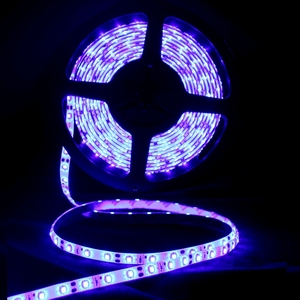 R/G/B/<span class=keywords><strong>O</strong></span>/W/RVB 3014/5050/3528 SMD LED option pas cher LED rvb <span class=keywords><strong>a</strong></span> mené la lumière de bande - Product Image 6
