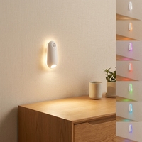 Lampes de toilette à induction pour le corps humain multicolores intelligentes avec contrôle par capteur pour améliorer l'atmosphère nocturne de la salle de bain