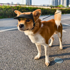 Gorras <span class=keywords><strong>de</strong></span> visera <span class=keywords><strong>de</strong></span> refrigeración para cachorros <span class=keywords><strong>de</strong></span> verano para mascotas pequeñas, medianas y cómodas con correa ajustable para perros y gatos - Product Image 4