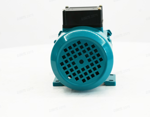 Pompe à vortex QB50, pompe à eau électrique de surface <span class=keywords><strong>pour</strong></span> l'irrigation agricole, l'<span class=keywords><strong>arrosage</strong></span> des jardins, haute efficacité, fournitures agricoles - Product Image 5