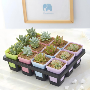 Plateau de 12 alvéoles rectangulaires pour semis, en plastique, avec réservoir d'eau, support pour plantes succulentes, grille fixe pour pots de 7x8 cm, noir et blanc - Product Image 6
