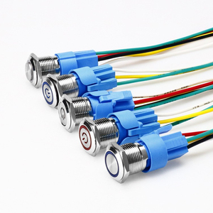16mm 19mm 22mm Enganche momentáneo Ip67 Interruptor de botón 12V Interruptor LED con conector - Product Image 1