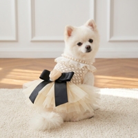 Robe de princesse en dentelle bouffante de style Coco Miss de luxe pour chiens et chats, dentelle en maille de qualité supérieure, toutes saisons, lavable à la main