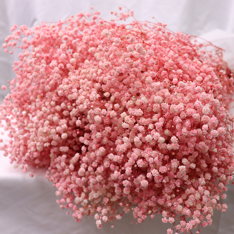 Coral Pink