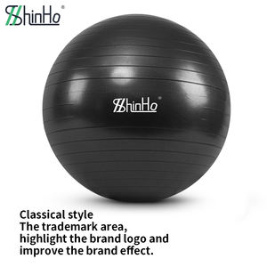 Balón de Yoga Suizo de Estabilidad de 65cm 55cm, Antideslizante, Antiexplosión, Ecológico, con Logotipo Personalizado ODM, Color Personalizado, para Gimnasio y Hogar, el Más Vendido de Shinho - Product Image 6