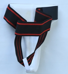 Protector de Taekwondo 2026, Equipo de Entrenamiento de Artes Marciales, Protector Inguinal Femenino para Taekwondo - Product Image 2