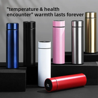 Termo de 500 ml con Pantalla de Temperatura, Botella Térmica de Acero Inoxidable con Compartimentos, Taza Aislada al Vacío para Exteriores, Regalo para el Día del Padre