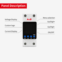 A&B 6kVA 2P 40A/63A/80A AC220V/DC 85-300V 50/60Hz Rail DIN Monophasé Cuivre Affichage LED Réglable Personnalisé SVC