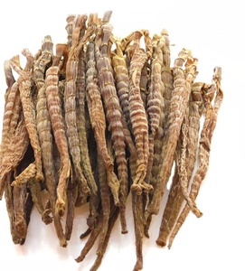 <span class=keywords><strong>Germogli</strong></span> di Bambù Giovani Essiccati Naturali Senza Additivi di Grado Alimentare Zhu Sun Jian - Product Image 2