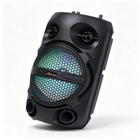 Altavoz Karaoke para el Hogar, Tweeter de 8 Pulgadas, 10w, 3 Botones, Bluetooth, TWS, Pantalla LED, USB, TF, FM, Micrófono con Cable, para Fiestas de Cumpleaños y al Aire Libre
