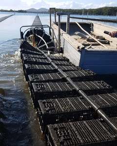 Thiết kế hình lục giác đen HDPE ép phun 10mm lưới 100% chống UV hai lớp nuôi trồng thủy sản hàu nổi lồng - Product Image 6