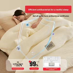 Piumino in Fibra di Soia e Poliestere Antibatterico a Doppio Strato, Imbottitura Spessa Invernale per Dormitori Studenteschi Primavera/Autunno - Product Image 4
